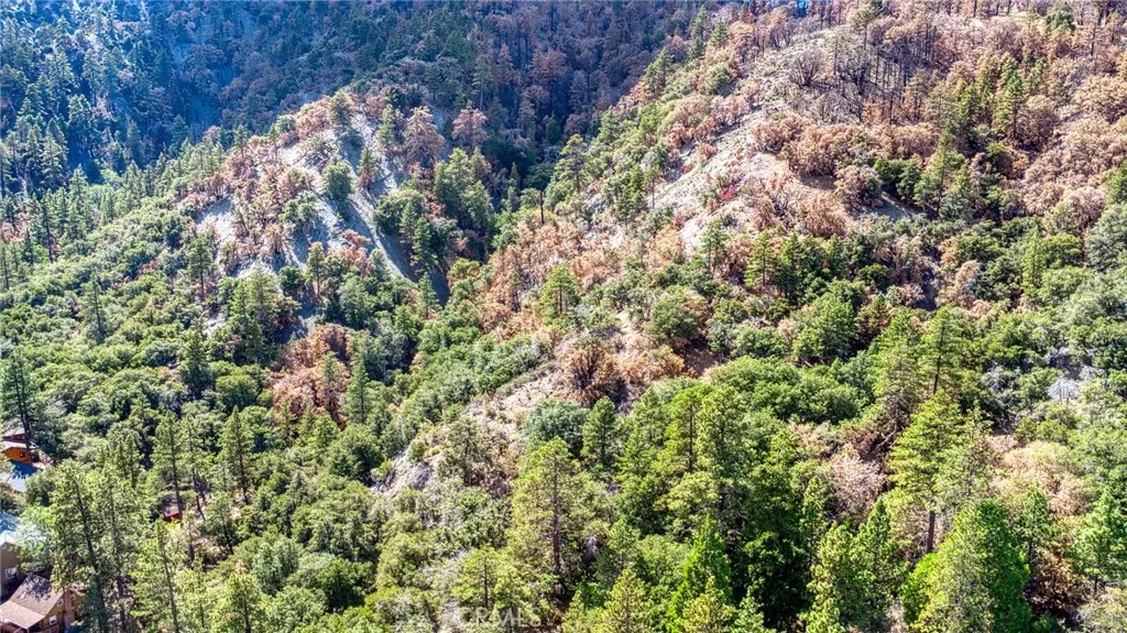 999 Acorn Dr, Wrightwood, CA, 92397