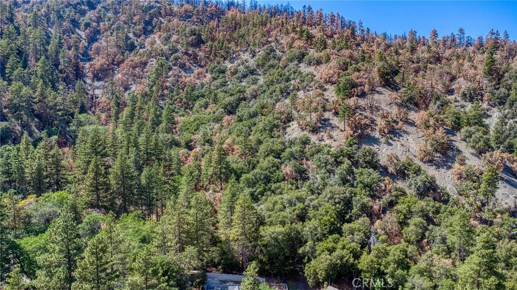 999 Acorn Dr, Wrightwood, CA, 92397