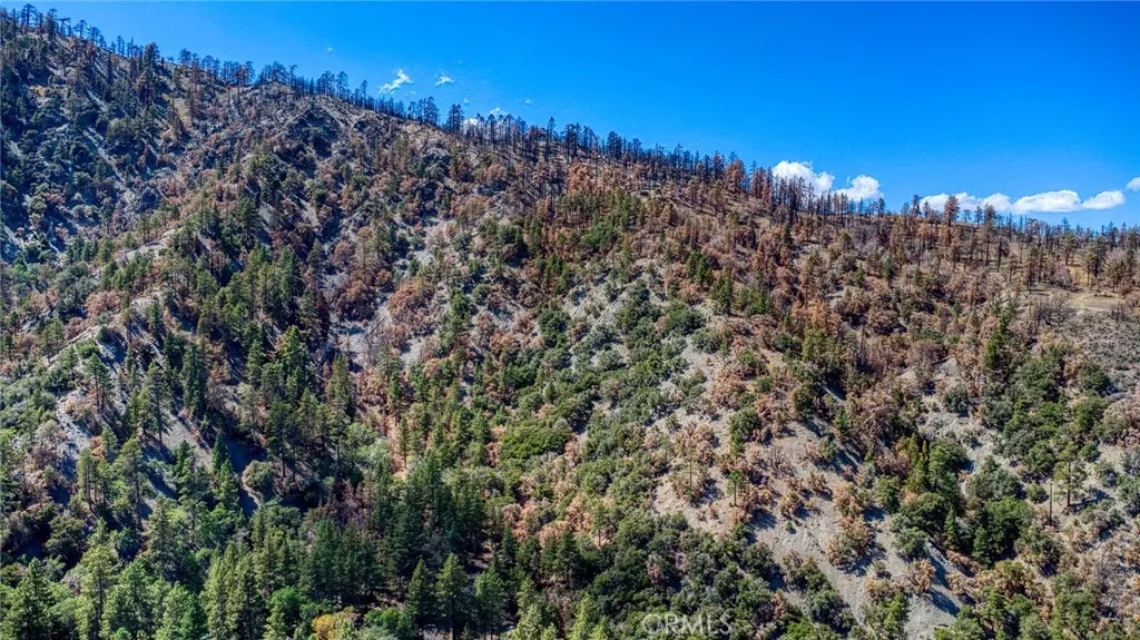 999 Acorn Dr, Wrightwood, CA, 92397