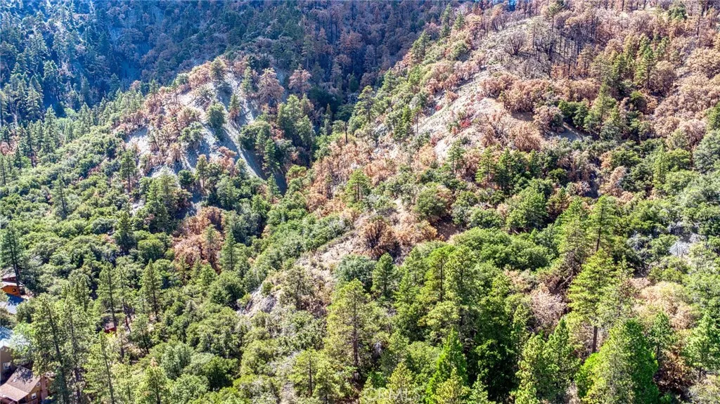 999 Acorn Dr, Wrightwood, CA, 92397