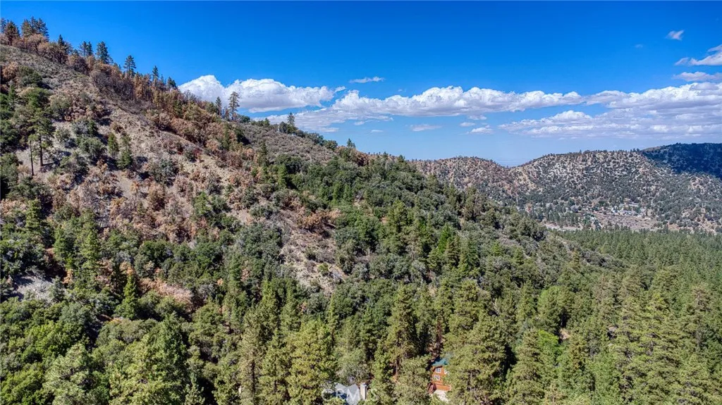 999 Acorn Dr, Wrightwood, CA, 92397