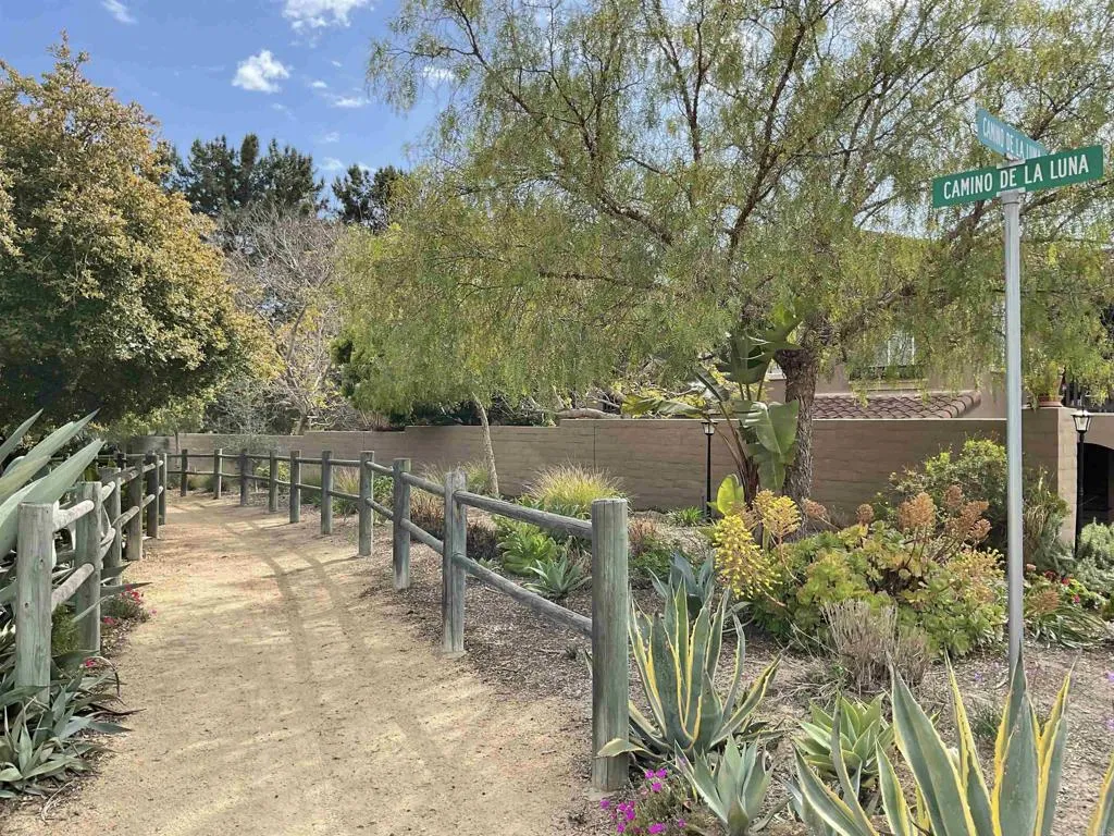 Photo #2: PTP2507123 Listing 