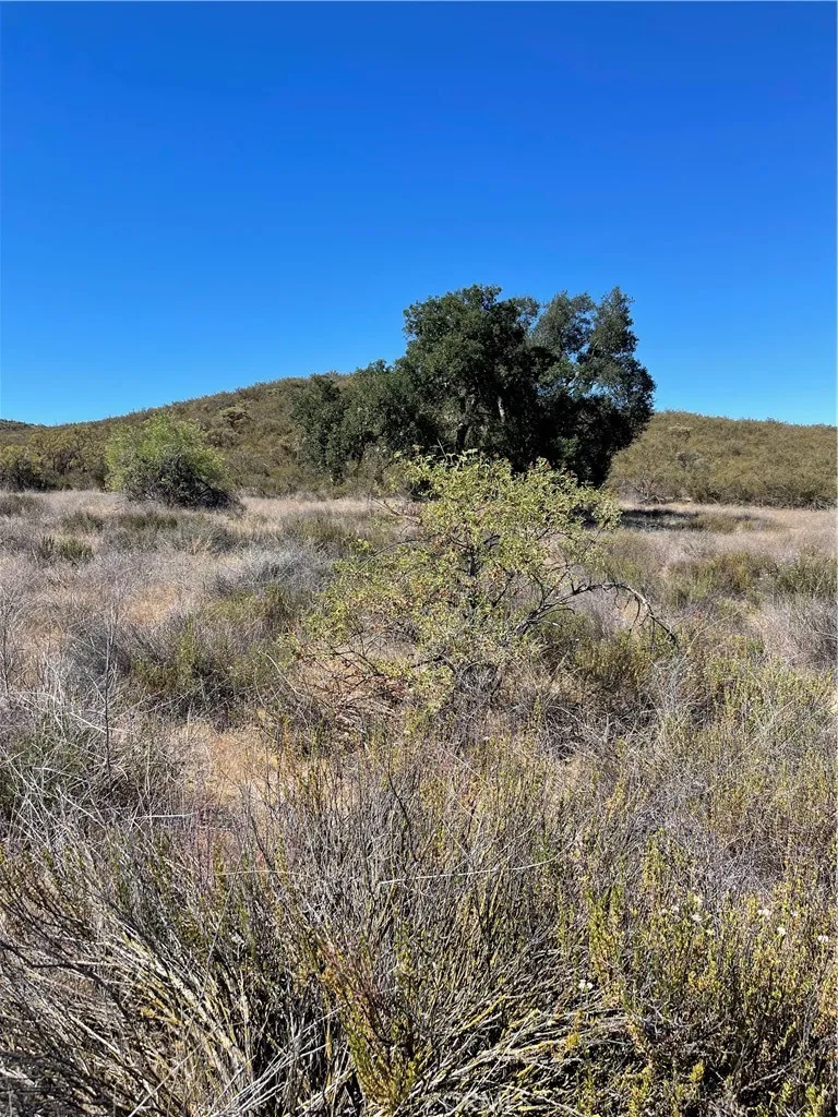 Houses For Rent La Quinta