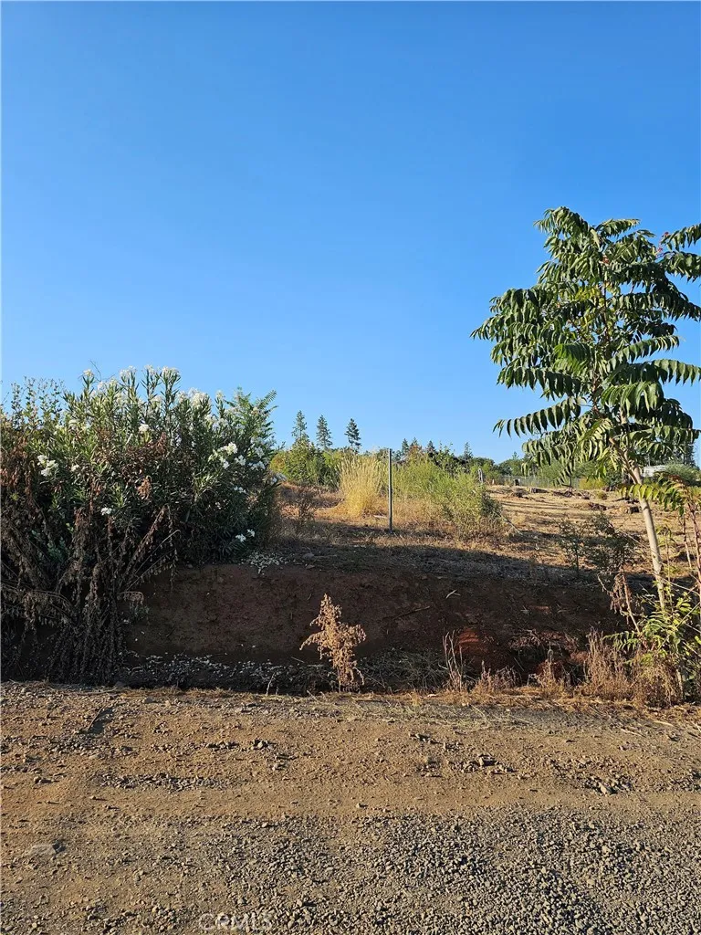 Paradise, CA 95969