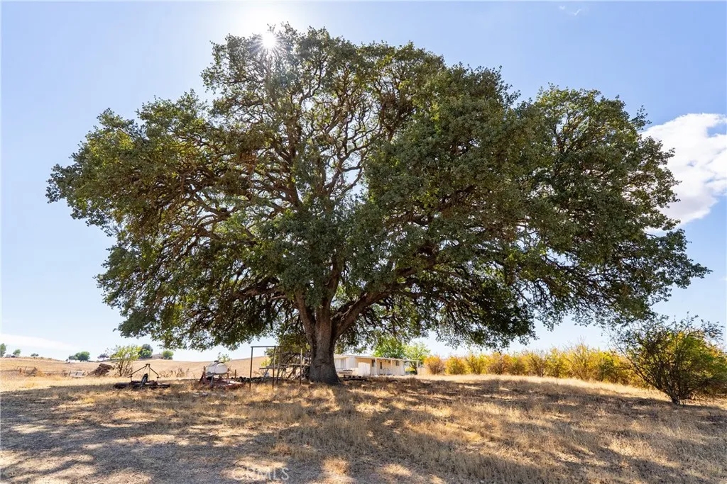 Paso Robles, CA 93446