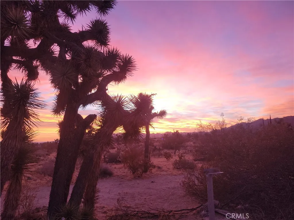 Morongo Valley, CA 92256