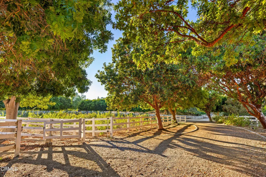 6885 Coyote Canyon Road, Somis, CA, 93066