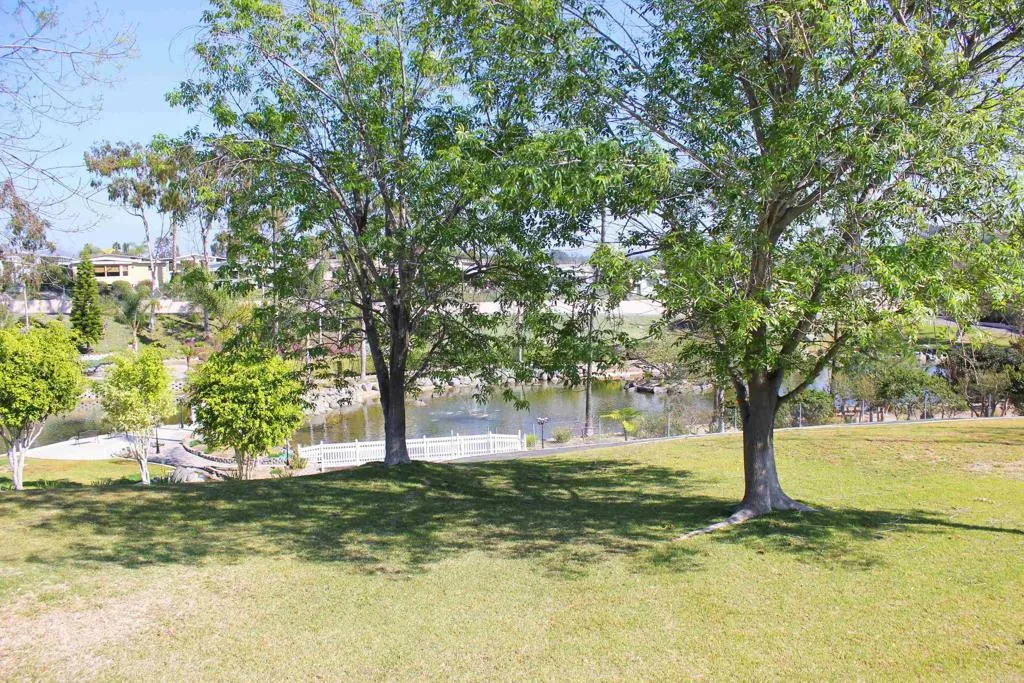 https://cdn.realtyfeed.com/cdn/127/306550809/395493a87e0262199e0c25f85d242bd1.webp