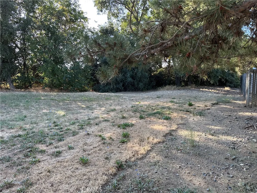 0 Oak East, Willows, CA 95988