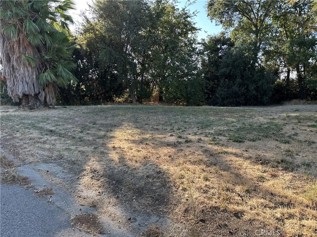 0 Oak East, Willows, CA 95988 - Photo 3 of 4, Willows, CA