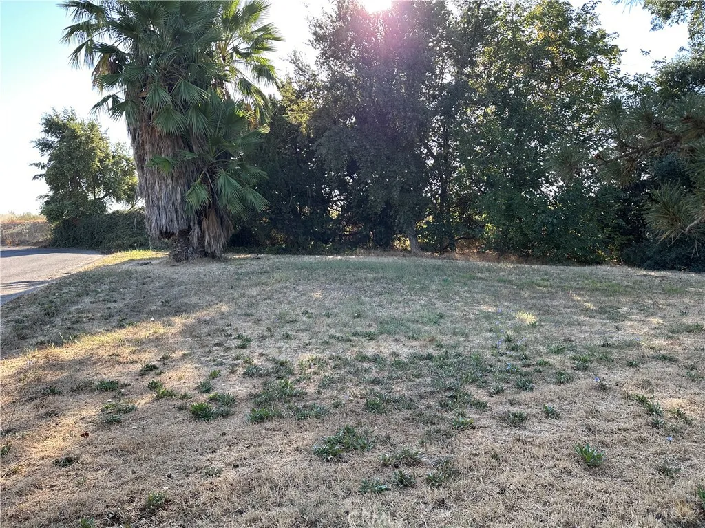 0 Oak East, Willows, CA 95988 - Photo 2 of 4, Willows, CA