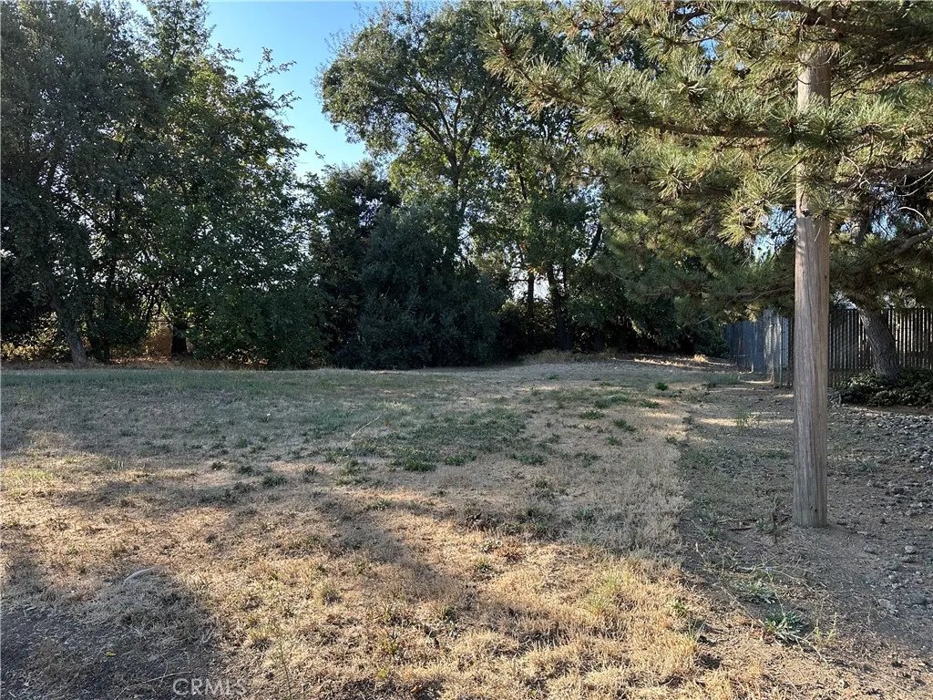 0 Oak East, Willows, CA 95988 - Photo 4 of 4, Willows, CA
