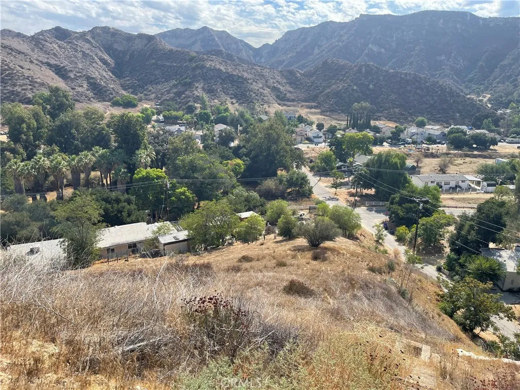 0 Chiquita Canyon Rd, Val Verde, CA 91384 - Photo 4 of 16, Val Verde, CA