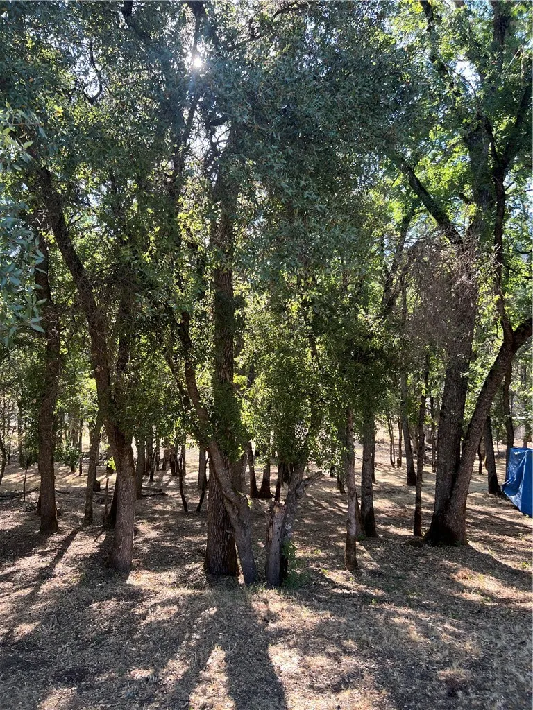 5723 Inca Way, Kelseyville, CA 95451 - Main photo, Kelseyville, CA