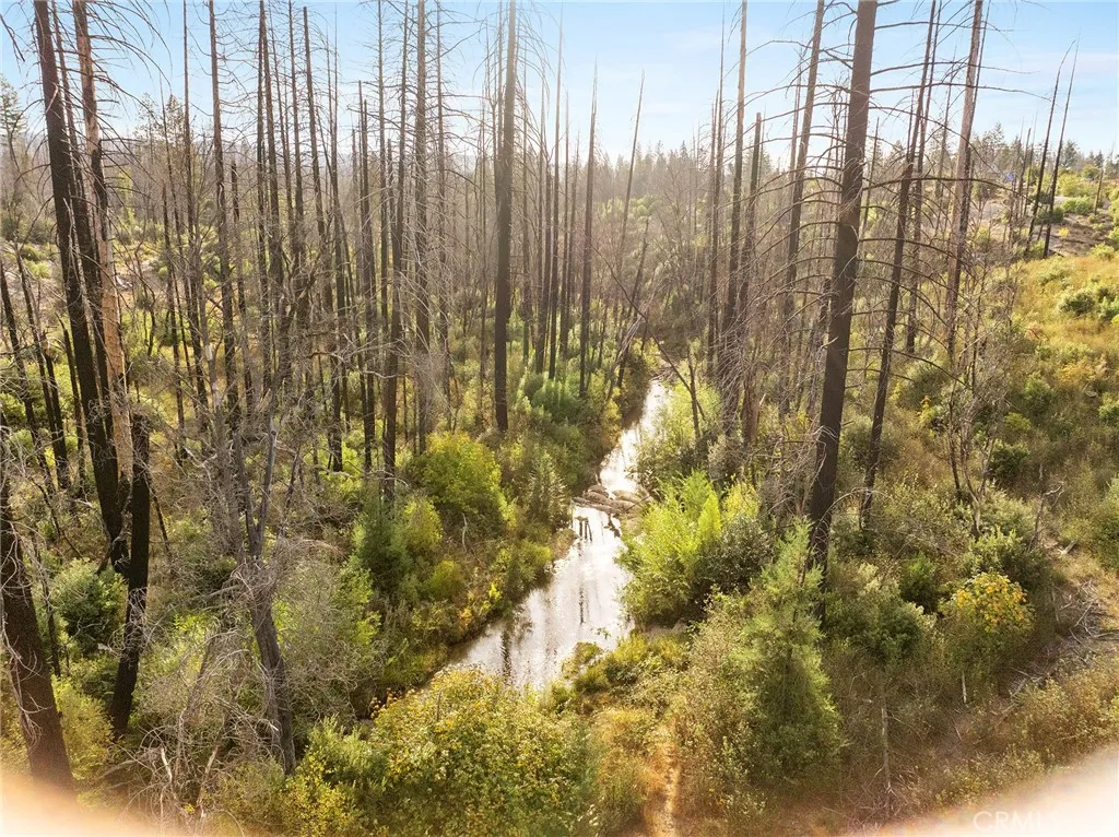 0 Gamble, Berry Creek, CA 95916 - Photo 5 of 27, Berry Creek, CA