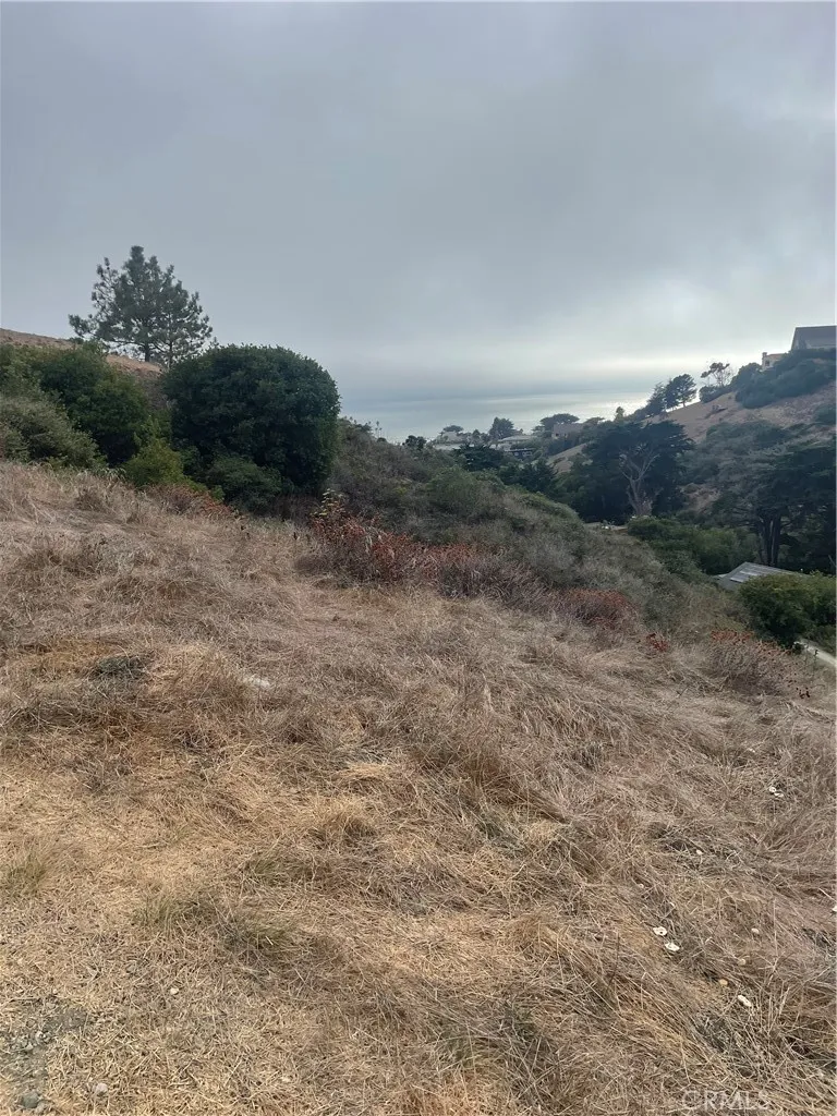 560 Hacienda, Cayucos, CA 93430 - Photo 2 of 3, Cayucos, CA