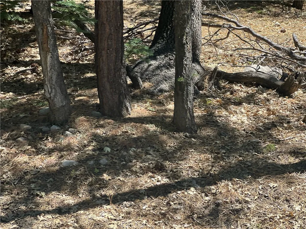 Arrowbear, CA 92382
