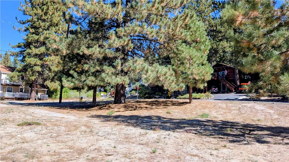 0 Wild Rose, Green Valley Lake, CA 92341 - Photo 3 of 10, Green Valley Lake, CA