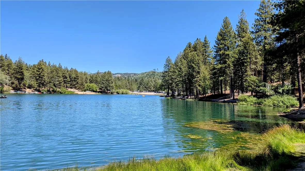 0 Wild Rose, Green Valley Lake, CA 92341 - Photo 4 of 10, Green Valley Lake, CA