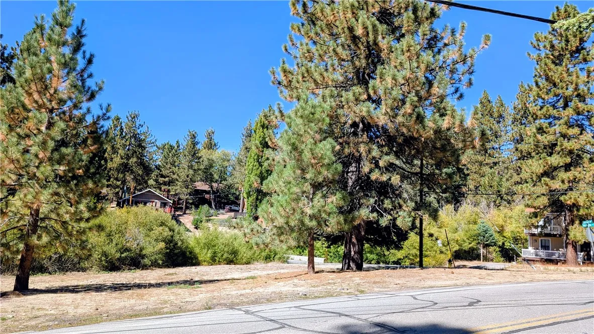 0 Wild Rose, Green Valley Lake, CA 92341 - Photo 2 of 10, Green Valley Lake, CA