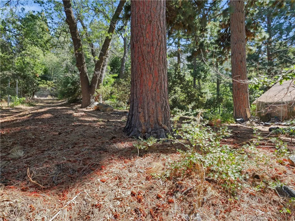 37590 Live Oak, Angelus Oaks, CA, 92305