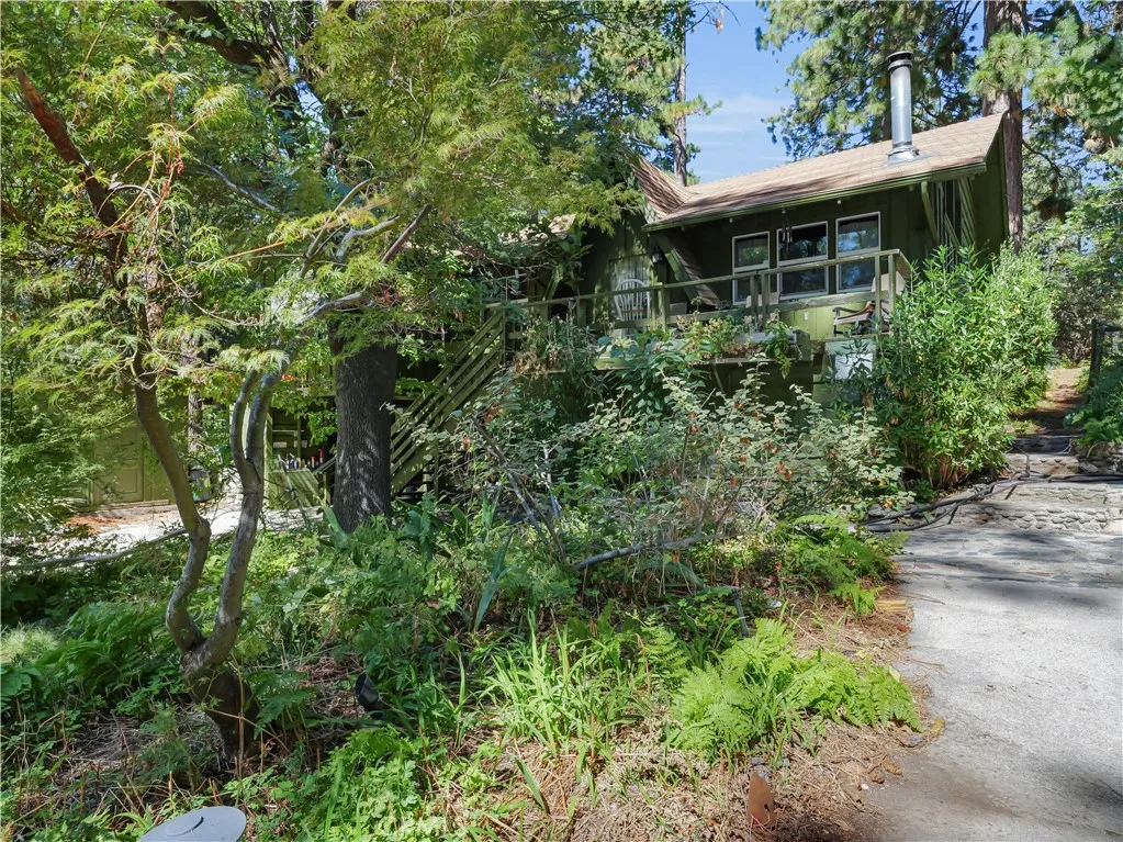 37590 Live Oak, Angelus Oaks, CA, 92305