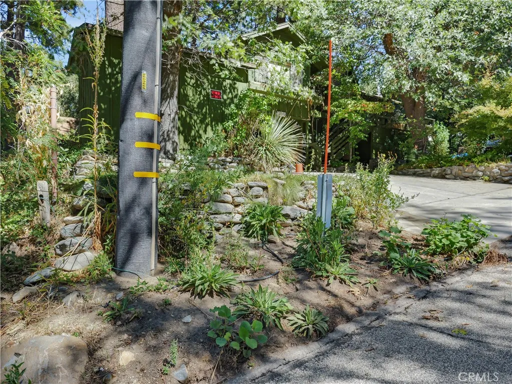 37590 Live Oak, Angelus Oaks, CA, 92305