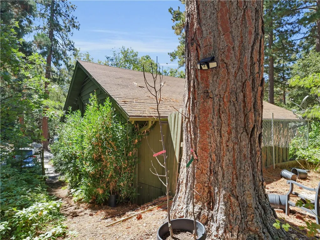 37590 Live Oak, Angelus Oaks, CA, 92305