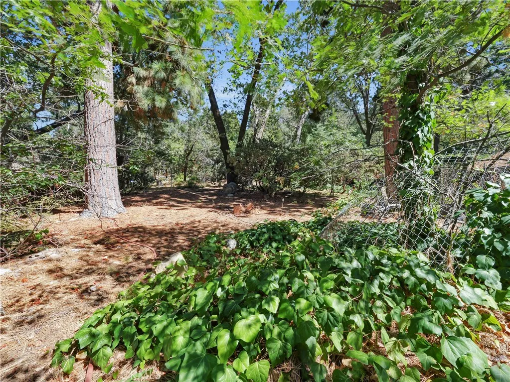 37590 Live Oak, Angelus Oaks, CA, 92305