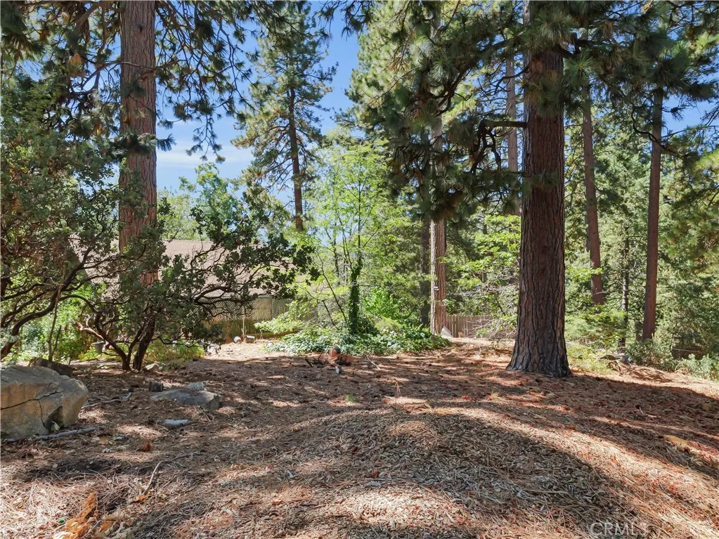 37590 Live Oak, Angelus Oaks, CA, 92305