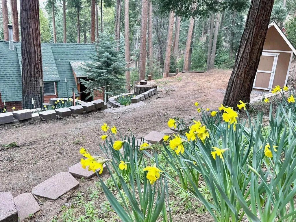 32811 Birch Hill Road, Palomar Mountain, CA 92060 - Photo 2 of 48, Palomar Mountain, CA