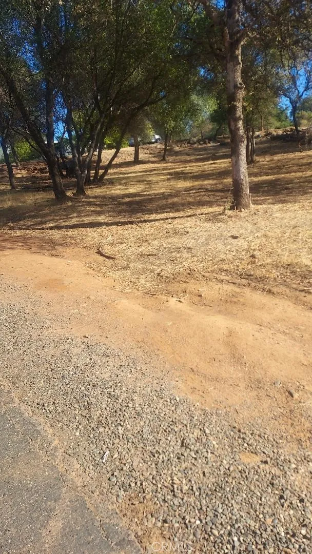 307 Lodgeview, Oroville, CA 95966 - Photo 2 of 3, Oroville, CA