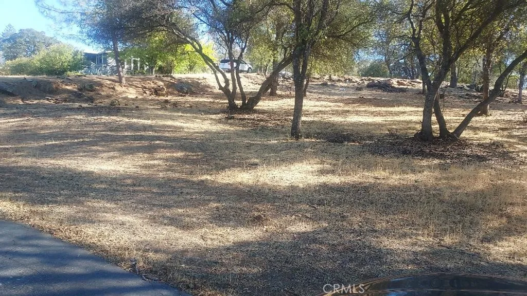 307 Lodgeview, Oroville, CA 95966 - Photo 3 of 3, Oroville, CA