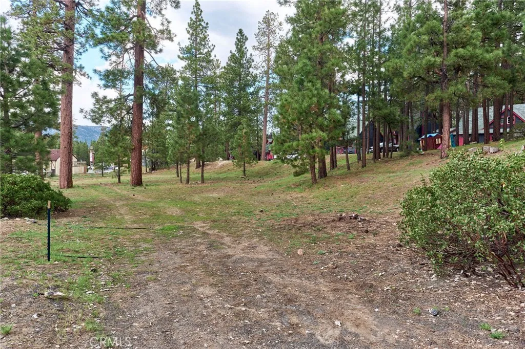 Big Bear Lake, CA 92315