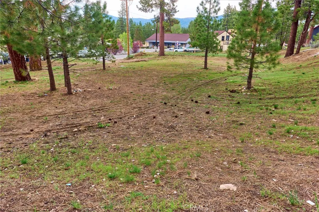 Big Bear Lake, CA 92315