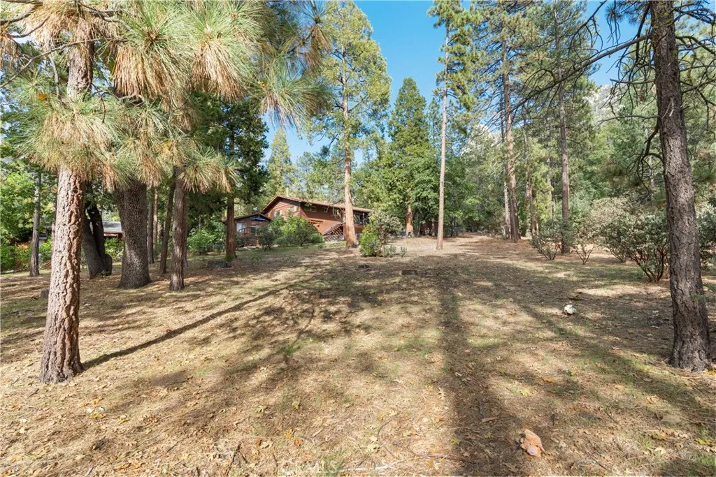 25220 Rim Rock, Idyllwild, CA 92549 - Photo 3 of 74, Idyllwild, CA