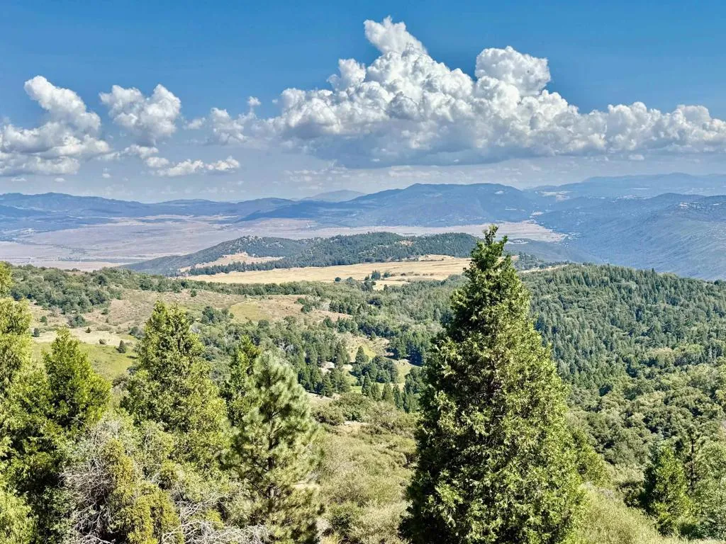 https://cdn.realtyfeed.com/cdn/127/306563520/2395655be93a45abdf5c95b4125a525f.webp