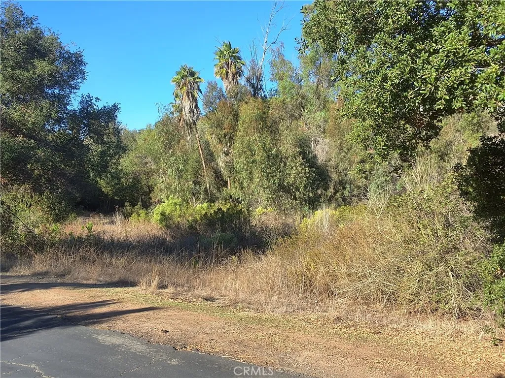 0 Via Puerta Del Sol, Bonsall, CA 92003 - Photo 5 of 25, Bonsall, CA