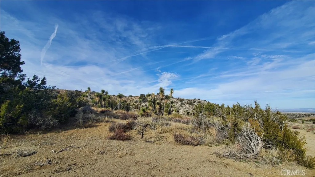 0 Vicinity Ross Road East, Juniper Hills, CA 93543 - Photo 3 of 50, Juniper Hills, CA