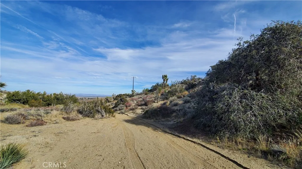 0 Vicinity Ross Road East, Juniper Hills, CA 93543 - Photo 4 of 50, Juniper Hills, CA