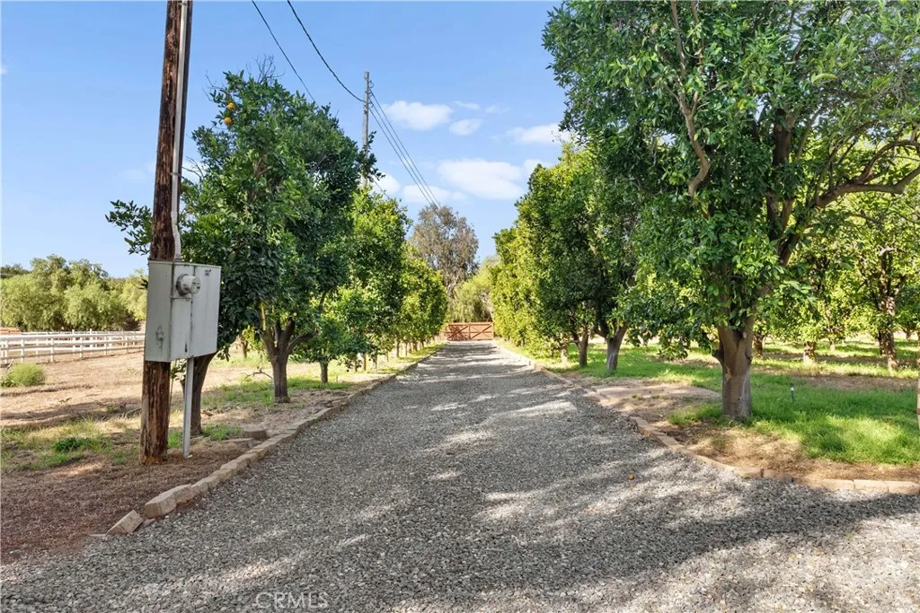 https://cdn.realtyfeed.com/cdn/127/306569169/461ea922ad098dfa17e723a127aa7cfc.webp