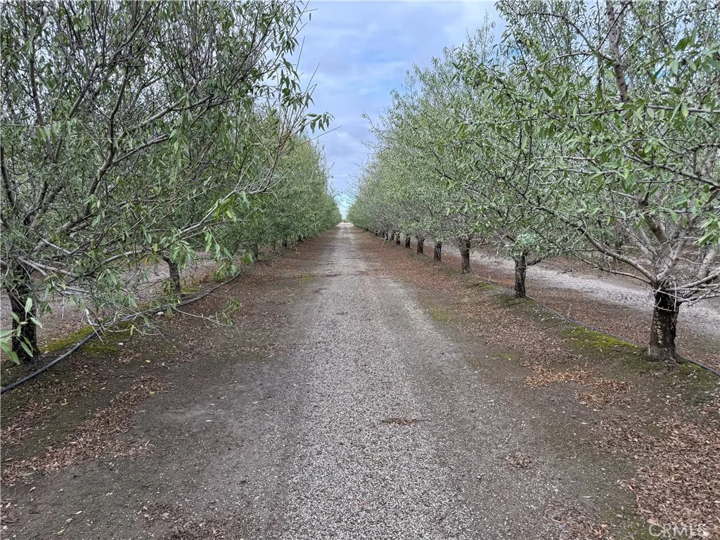 0 Road M, Orland, CA 95963 - Photo 5 of 6, Orland, CA