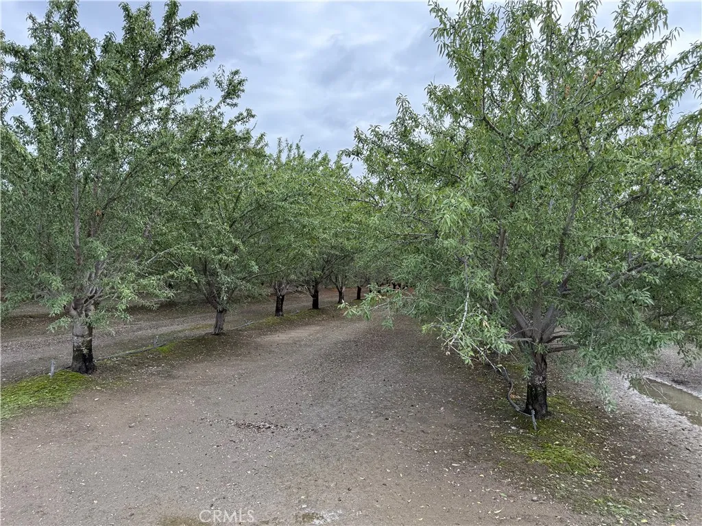 0 Road M, Orland, CA 95963 - Photo 3 of 6, Orland, CA