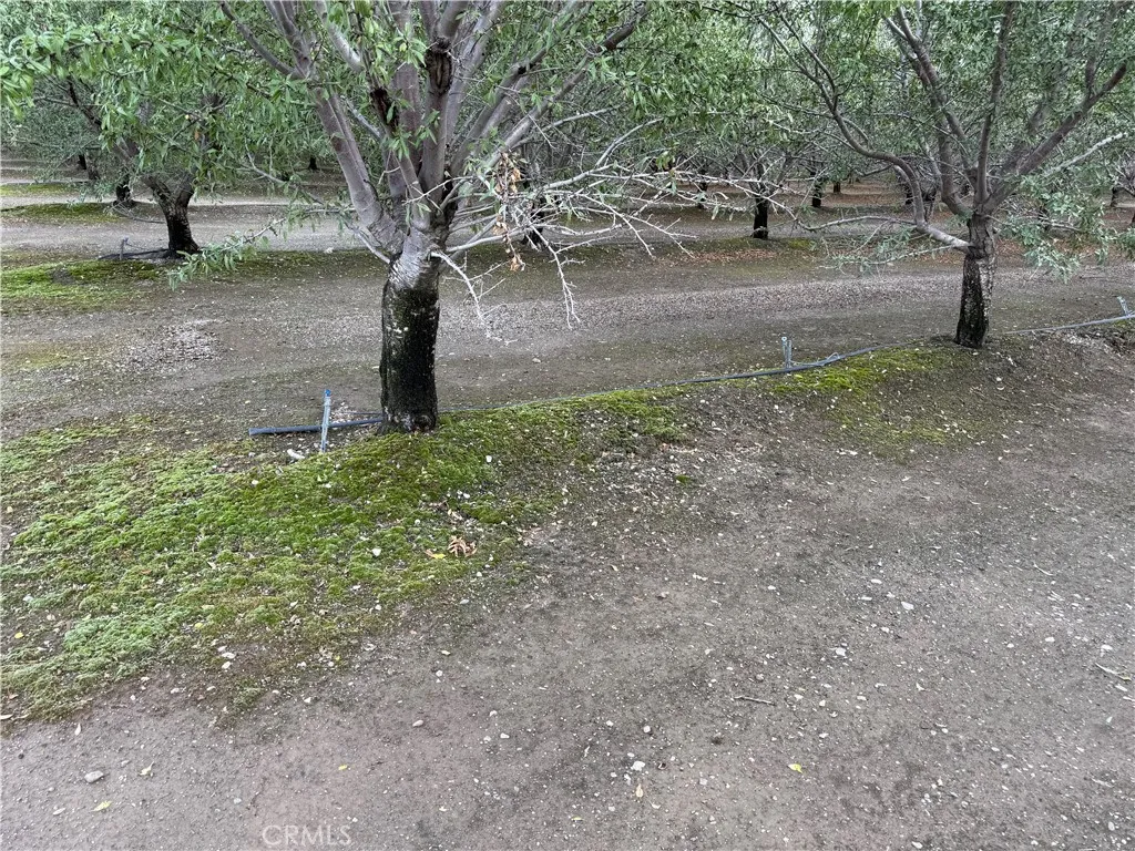 0 Road M, Orland, CA 95963 - Photo 4 of 6, Orland, CA