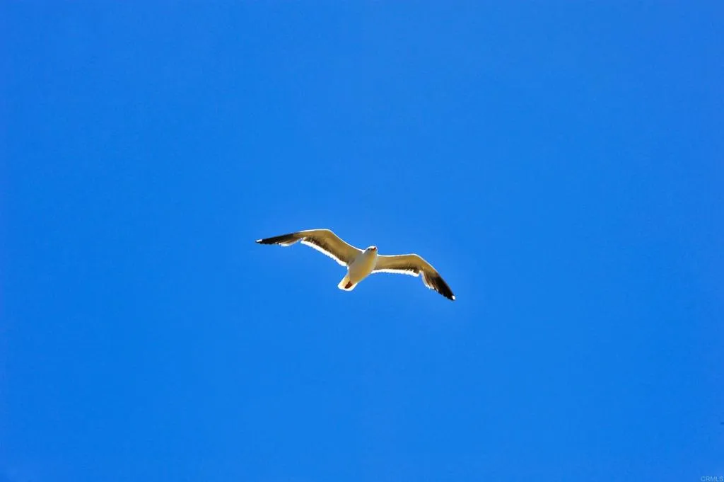 Photo #33: NDP2510104 Listing: Photo #33