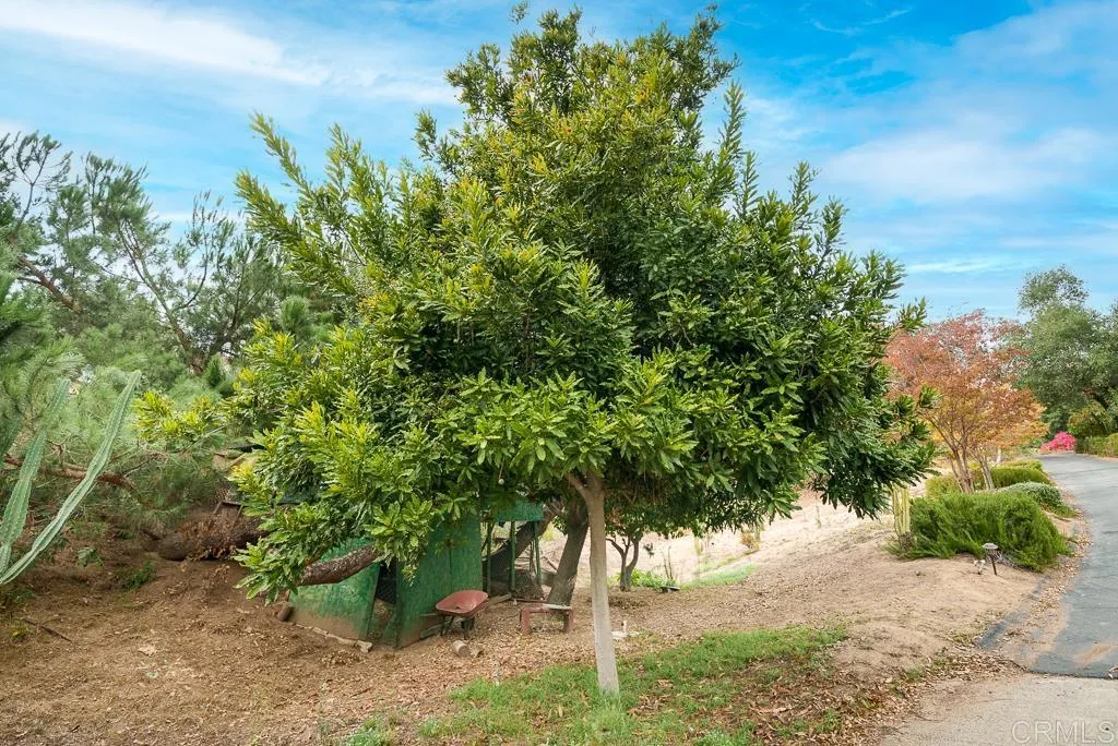 https://cdn.realtyfeed.com/cdn/127/306571217/f3a775f88fbcbbcdfcda7d8e1d9fa6ab.webp