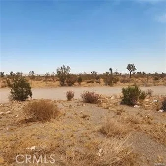 Pinon Hills, CA 92372