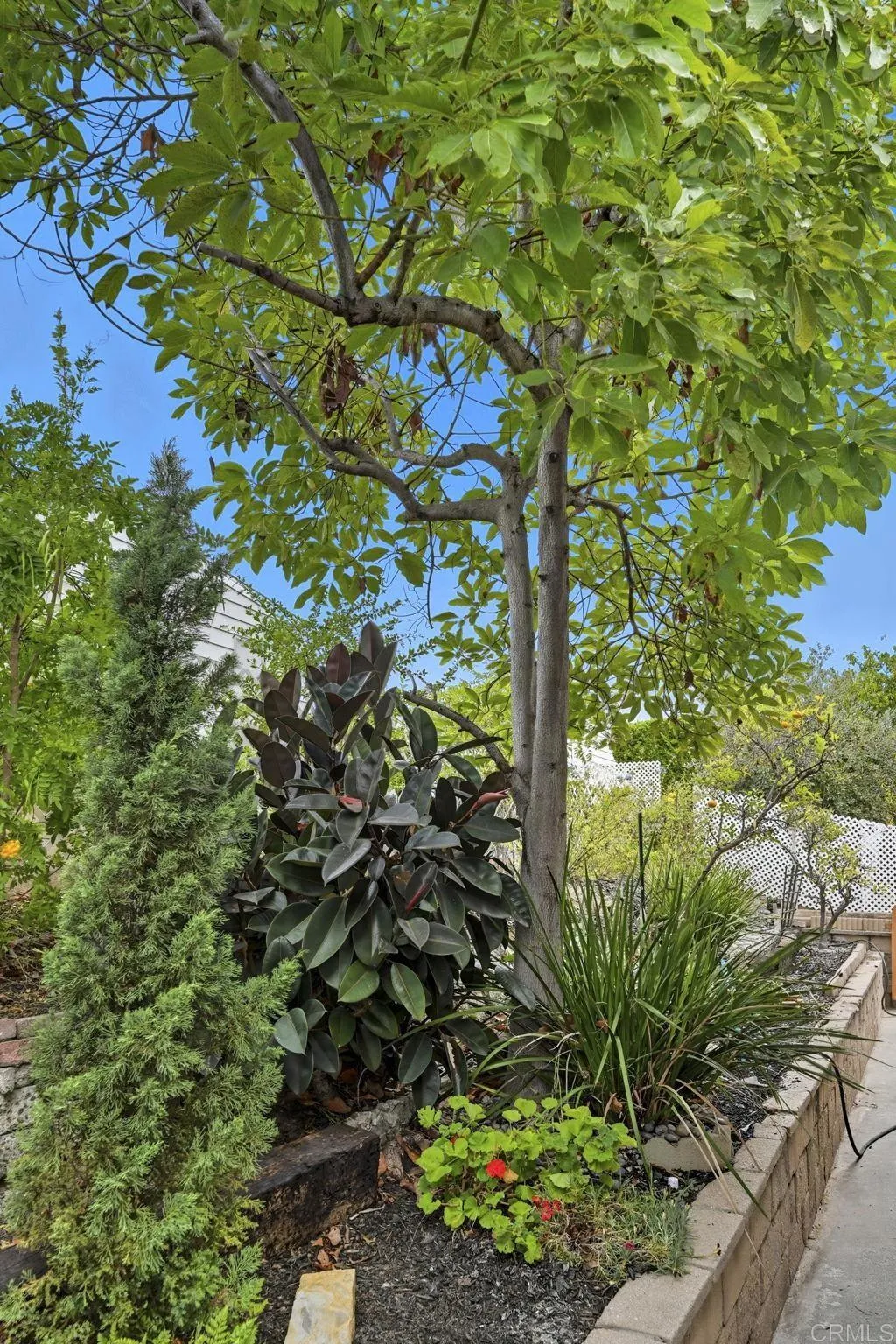 https://cdn.realtyfeed.com/cdn/127/306573806/8614d335498493c89f3add6b0c3bf707.webp