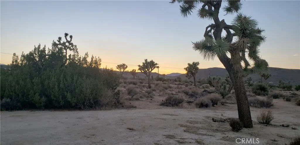 Yucca Valley, CA 92284