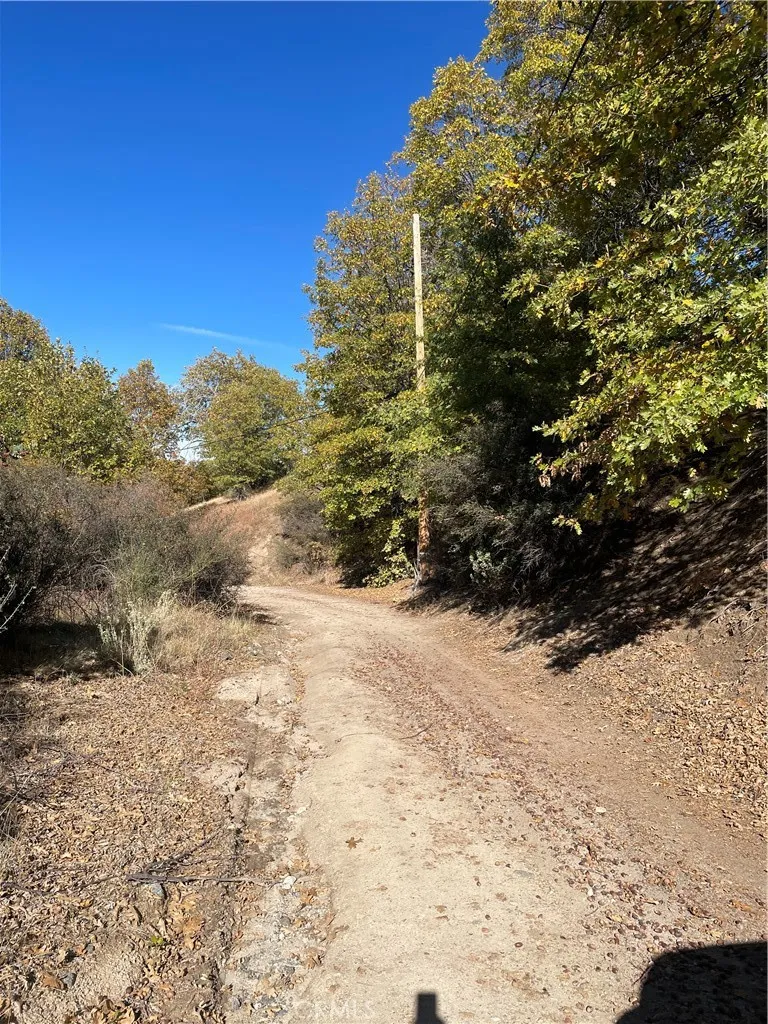 0 Acacia, Cedar Glen, CA 92321 - Photo 5 of 5, Cedar Glen, CA